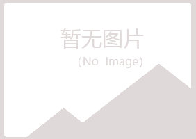 武汉冰夏建筑有限公司